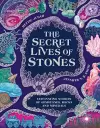 The Secret Lives of Stones cover
