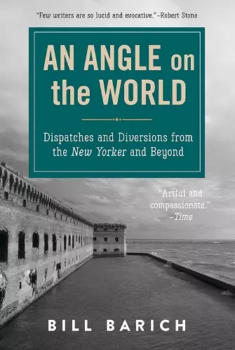 An Angle on the World cover