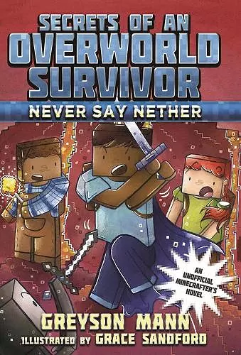 Never Say Nether cover