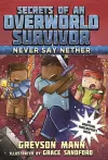 Never Say Nether cover