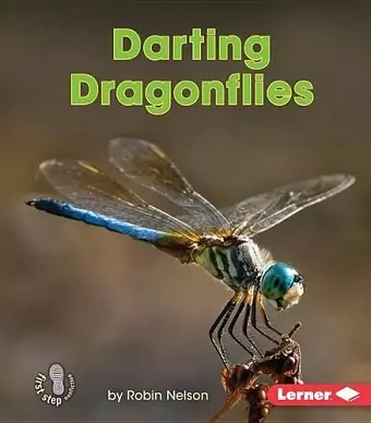 Darting Dragonflies cover