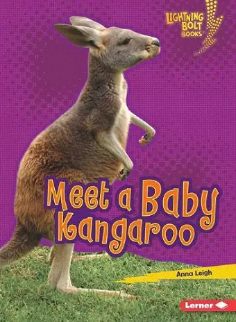 Meet a Baby Kangaroo cover