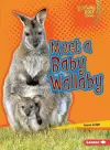 Meet a Baby Wallaby cover