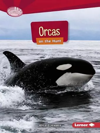 Orcas on the Hunt cover