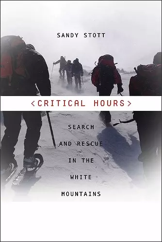 Critical Hours cover