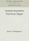 Aramaic Incantation Texts from Nippur cover