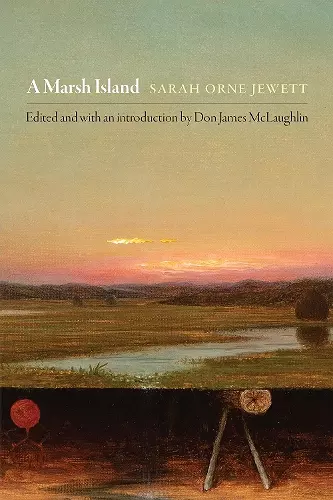 A Marsh Island cover