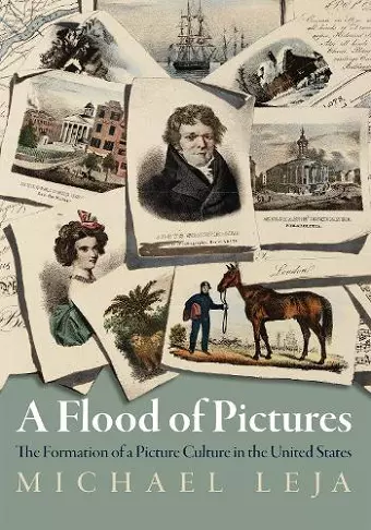 A Flood of Pictures cover