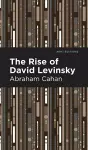 The Rise of David Levinsky cover