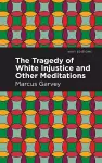 The Tragedy of White Injustice and Other Meditations cover