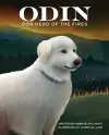 Odin, Dog Hero of the Fires cover
