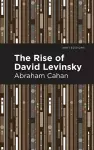 The Rise of David Levinsky cover