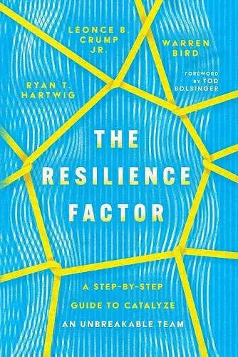 The Resilience Factor – A Step–by–Step Guide to Catalyze an Unbreakable Team cover