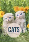 Cats cover