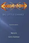 Big Little Change cover