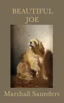 Beautiful Joe cover