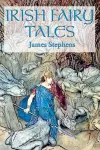 Irish Fairy Tales cover