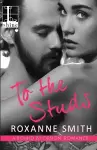 To the Studs cover