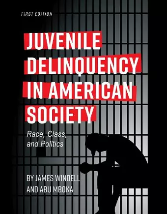 Juvenile Delinquency in American Society cover