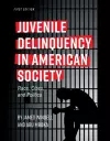 Juvenile Delinquency in American Society cover