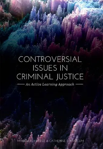 Controversial Issues in Criminal Justice cover
