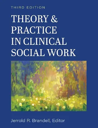 Theory & Practice in Clinical Social Work cover
