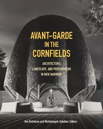 Avant-Garde in the Cornfields cover