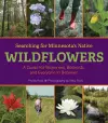 Searching for Minnesota's Native Wildflowers cover
