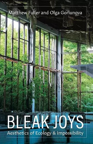 Bleak Joys cover