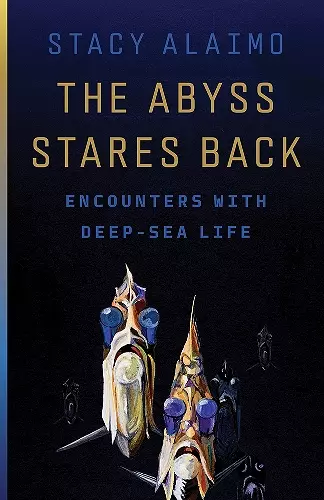 The Abyss Stares Back cover