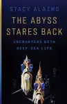 The Abyss Stares Back cover