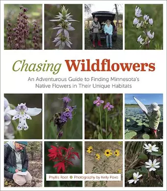 Chasing Wildflowers cover
