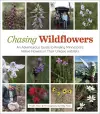 Chasing Wildflowers cover