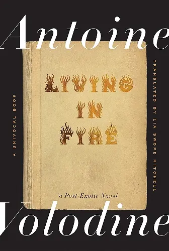 Living in Fire cover