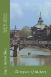 Kashmir - (Jhelum Valley Civilisation) cover