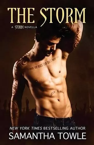The Storm cover