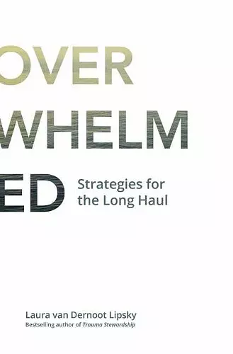 The Age of Overwhelm cover