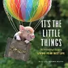 It's the Little Things cover