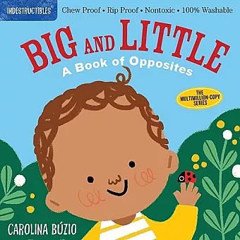 Indestructibles: Big and Little: A Book of Opposites cover