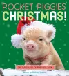 Pocket Piggies: Christmas! cover