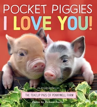 Pocket Piggies: I Love You! cover