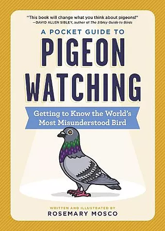 A Pocket Guide to Pigeon Watching cover