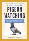 A Pocket Guide to Pigeon Watching cover