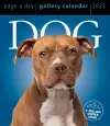 Dog Page-A-Day Gallery Calendar 2023 cover
