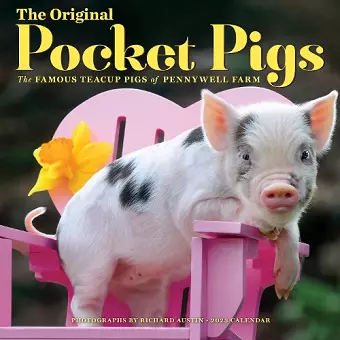 The Original Pocket Pigs Wall Calendar 2023 cover