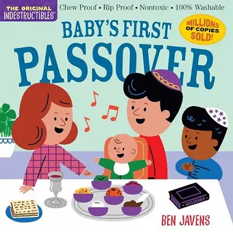 Indestructibles: Baby’s First Passover cover