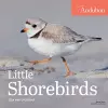 Audubon Little Shorebirds Mini Wall Calendar 2024 cover