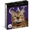 Cat Page-A-Day Gallery Calendar 2024 cover