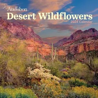 Audubon Desert Wildflowers Wall Calendar 2024 cover