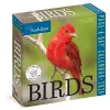 Audubon Birds Page-A-Day Calendar 2024 cover